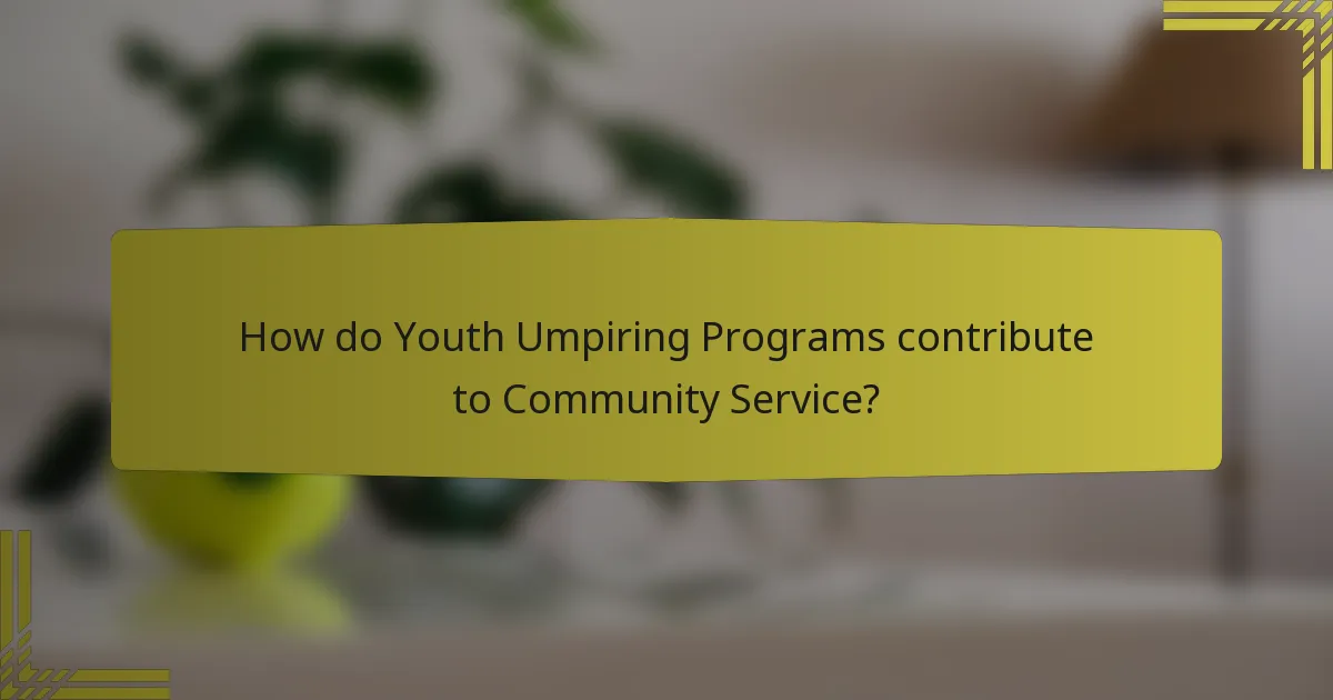 How do Youth Umpiring Programs contribute to Community Service?