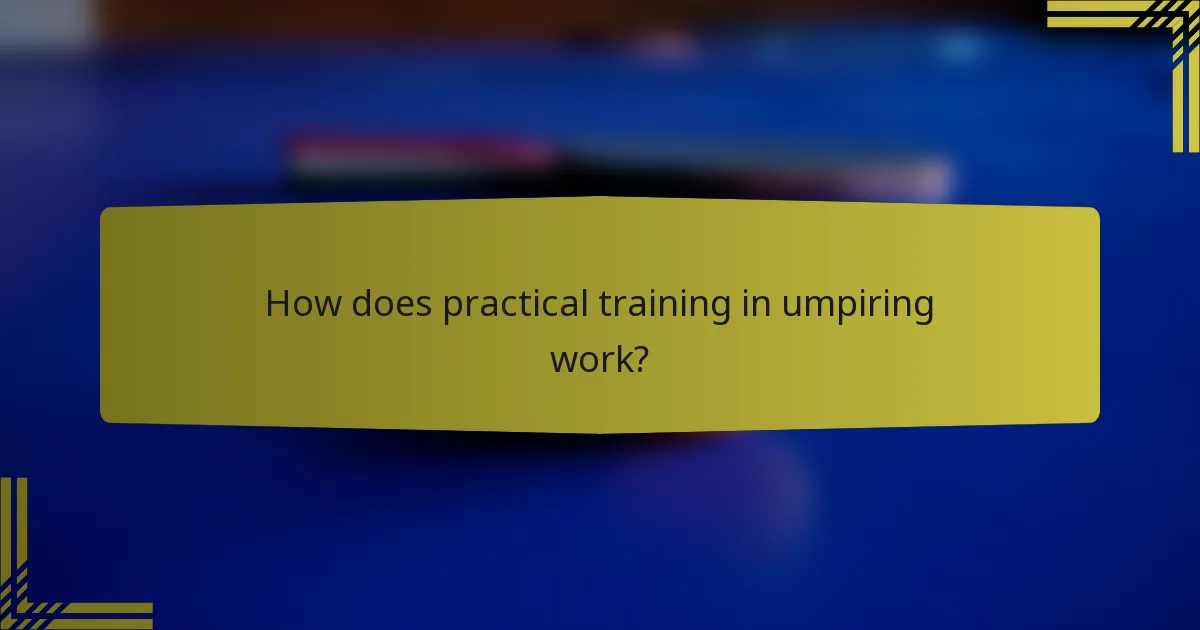 How does practical training in umpiring work?