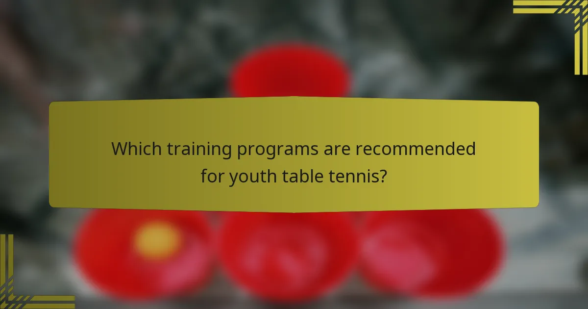 Which training programs are recommended for youth table tennis?